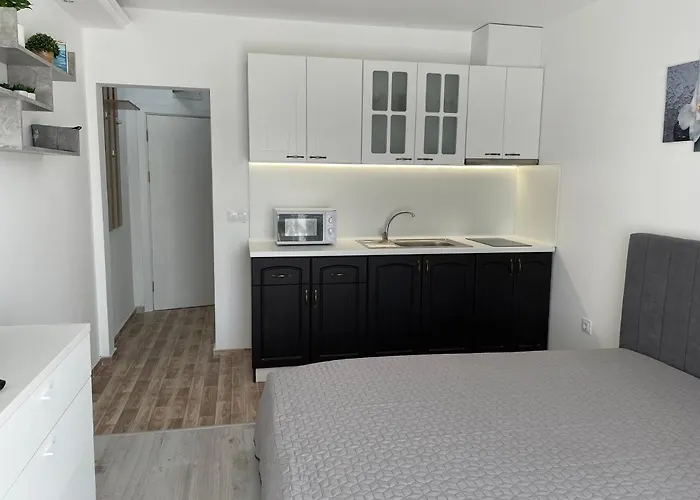 студио симона 4 - първа линия море アパート