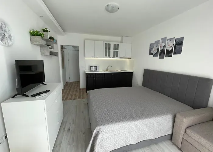 студио симона 4 - първа линия море アパート ロゼネッツ